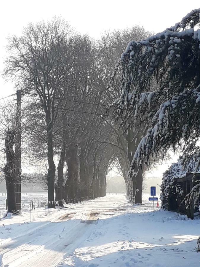 Hauwaertshoeve Бернем Экстерьер фото